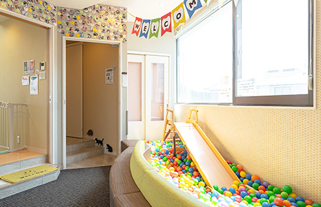 初石デンタルクリニック