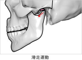 顎関節について